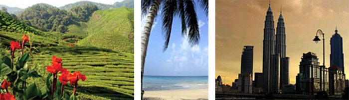 borneo-home
