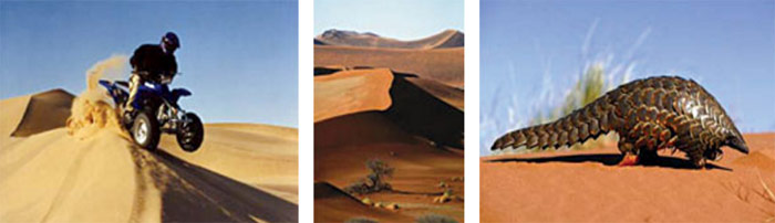 namibia-home